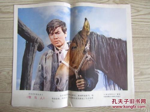 办假的加拿大工卡SIN